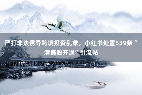 严打非法诱导跨境投资乱象，小红书处置539条“港美股开通”引流帖