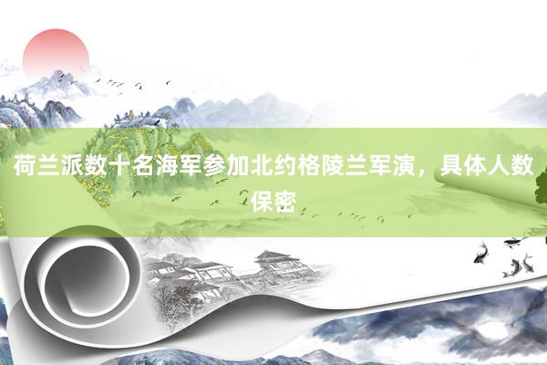 荷兰派数十名海军参加北约格陵兰军演，具体人数保密