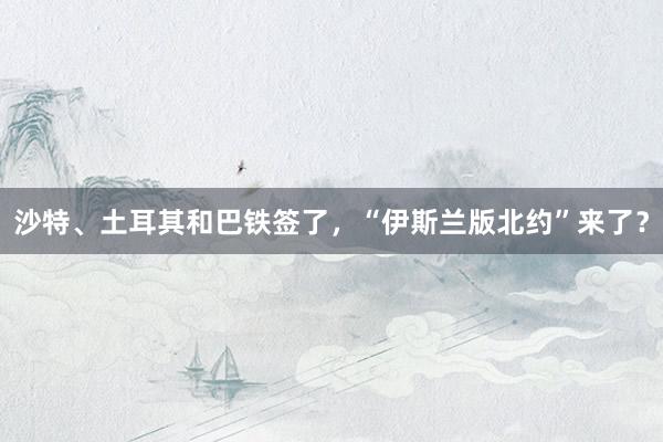 沙特、土耳其和巴铁签了，“伊斯兰版北约”来了？