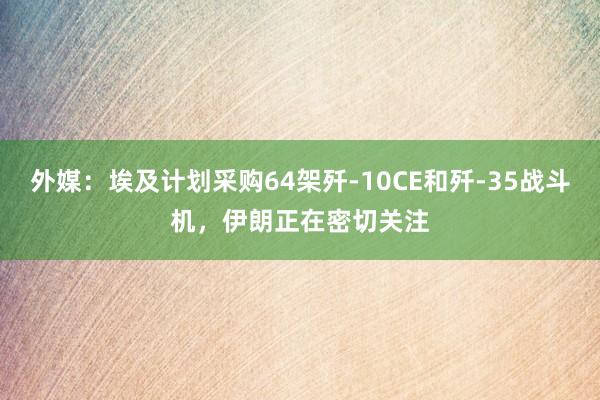外媒：埃及计划采购64架歼-10CE和歼-35战斗机，伊朗正在密切关注