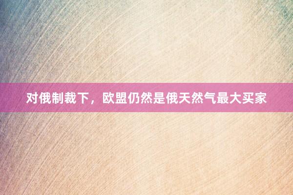 对俄制裁下，欧盟仍然是俄天然气最大买家