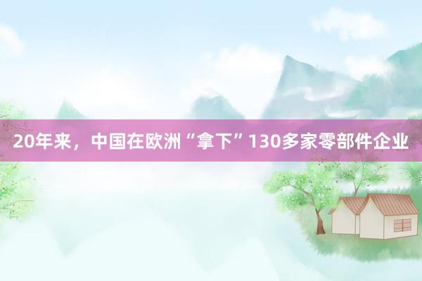 20年来，中国在欧洲“拿下”130多家零部件企业
