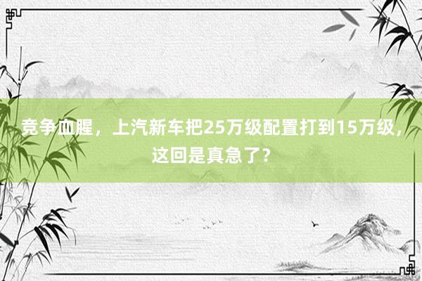竞争血腥，上汽新车把25万级配置打到15万级，这回是真急了？