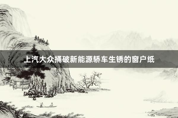 上汽大众捅破新能源轿车生锈的窗户纸