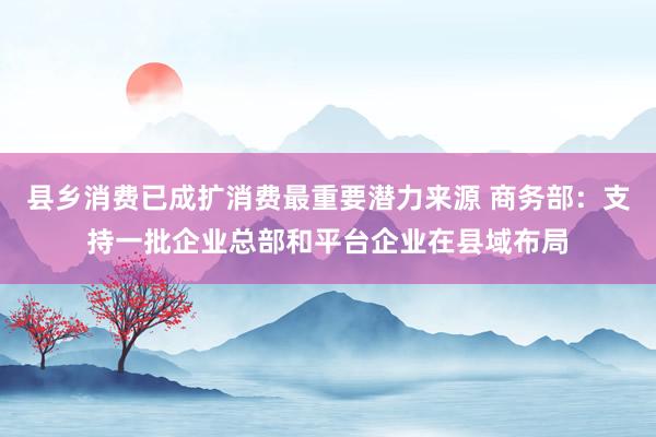 县乡消费已成扩消费最重要潜力来源 商务部：支持一批企业总部和平台企业在县域布局