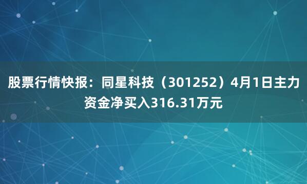 股票行情快报：同星科技（301252）4月1日主力资金净买入316.31万元