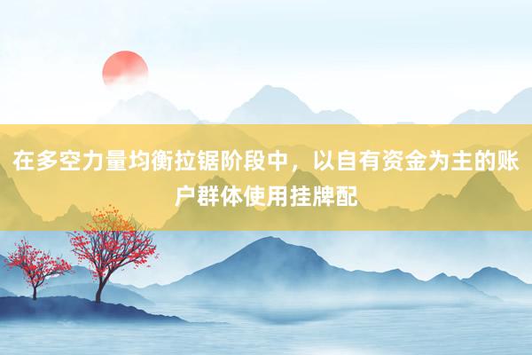 在多空力量均衡拉锯阶段中，以自有资金为主的账户群体使用挂牌配