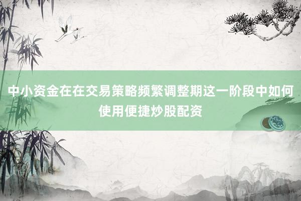 中小资金在在交易策略频繁调整期这一阶段中如何使用便捷炒股配资