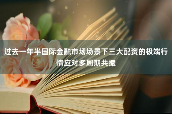 过去一年半国际金融市场场景下三大配资的极端行情应对多周期共振