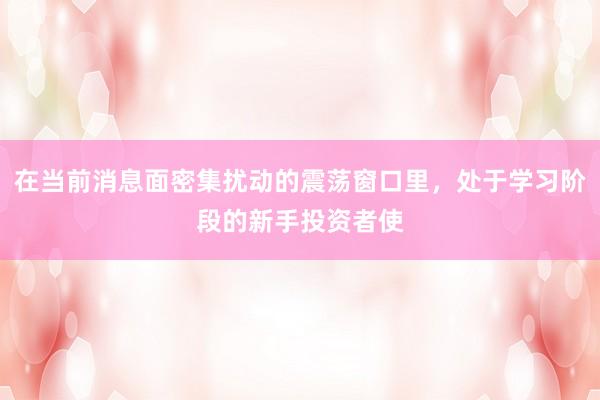 在当前消息面密集扰动的震荡窗口里，处于学习阶段的新手投资者使