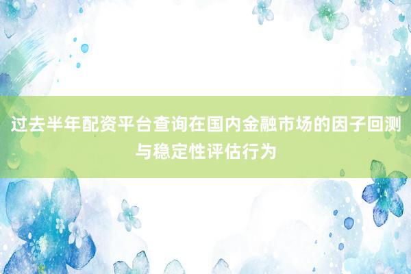 过去半年配资平台查询在国内金融市场的因子回测与稳定性评估行为