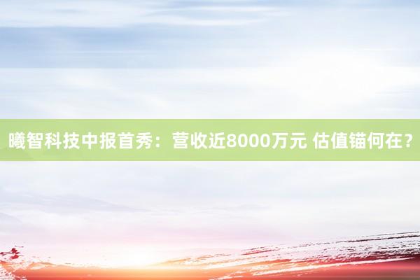 曦智科技中报首秀：营收近8000万元 估值锚何在？