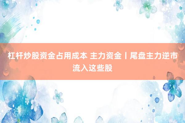 杠杆炒股资金占用成本 主力资金丨尾盘主力逆市流入这些股