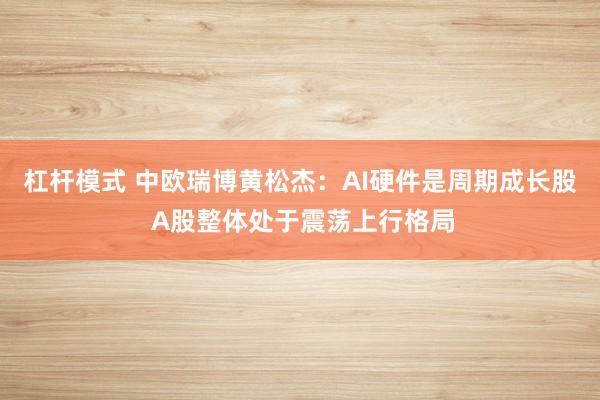 杠杆模式 中欧瑞博黄松杰：AI硬件是周期成长股 A股整体处于震荡上行格局