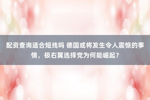 配资查询适合短线吗 德国或将发生令人震惊的事情，极右翼选择党为何能崛起？