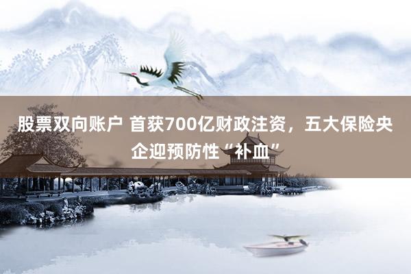 股票双向账户 首获700亿财政注资，五大保险央企迎预防性“补血”