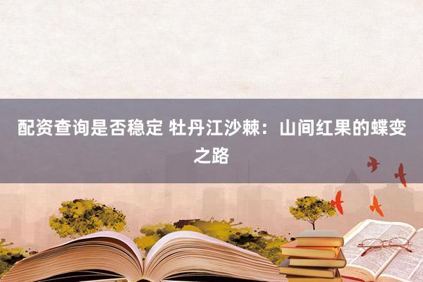 配资查询是否稳定 牡丹江沙棘：山间红果的蝶变之路
