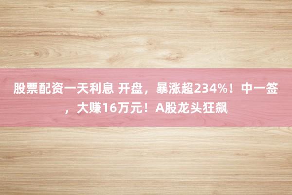 股票配资一天利息 开盘，暴涨超234%！中一签，大赚16万元！A股龙头狂飙