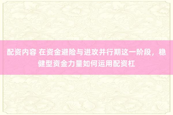 配资内容 在资金避险与进攻并行期这一阶段，稳健型资金力量如何运用配资杠